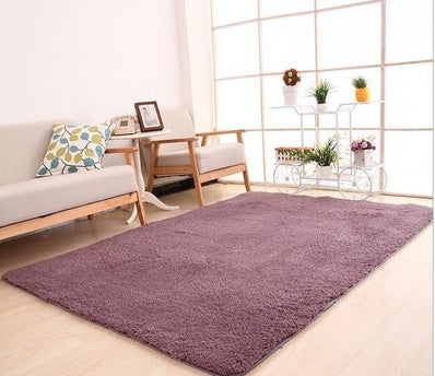 Large Soft Plush Home Decor Rug