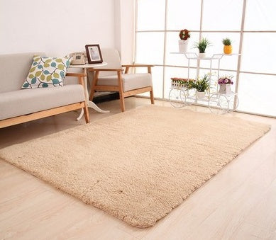 Large Soft Plush Home Decor Rug