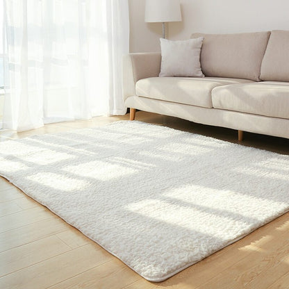 Large Soft Plush Home Decor Rug