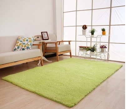 Large Soft Plush Home Decor Rug