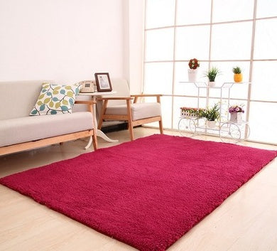 Large Soft Plush Home Decor Rug