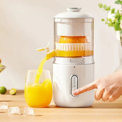 Multifunctional Steel Electric Juicer