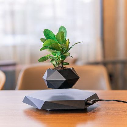 Magnetic Levitating Bonsai Plant Pot