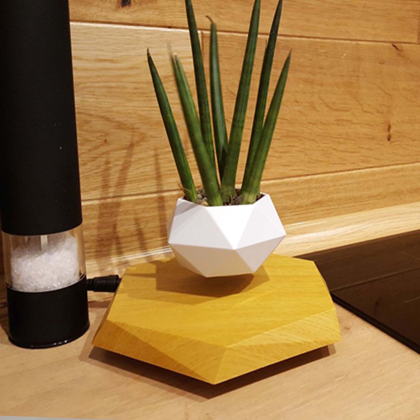 Magnetic Levitating Bonsai Plant Pot