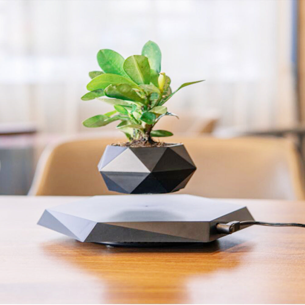 Magnetic Levitating Bonsai Plant Pot