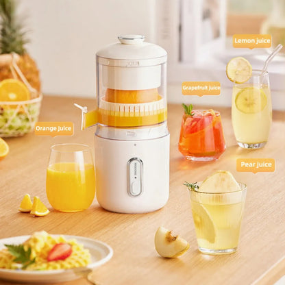 Multifunctional Steel Electric Juicer